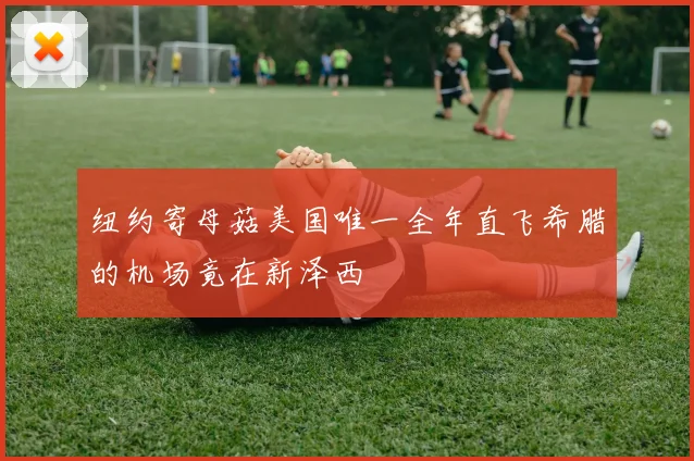 纽约寄母菇美国唯一全年直飞希腊的机场竟在新泽西