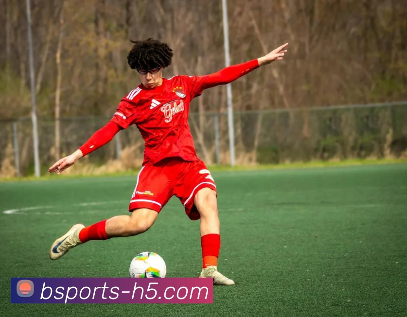 B体育平台生态图