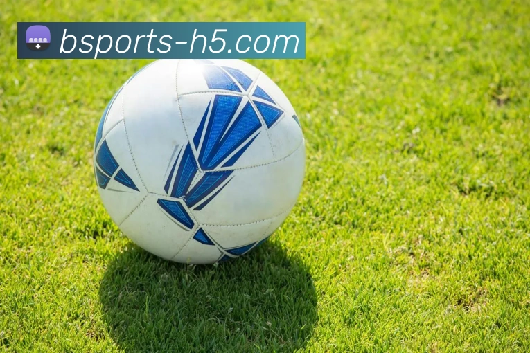 B体育APP 封面图