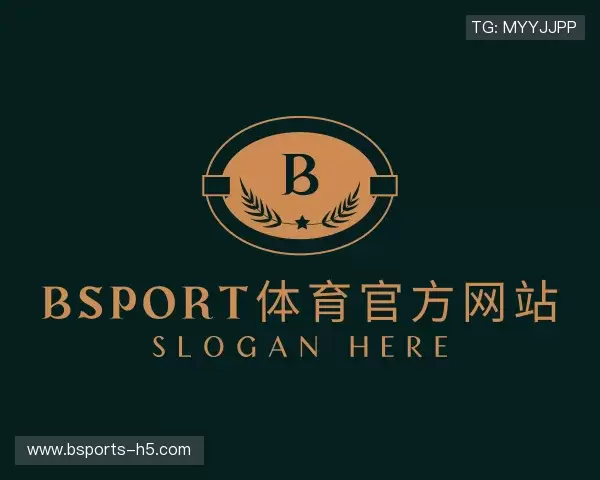 关于bsport体育